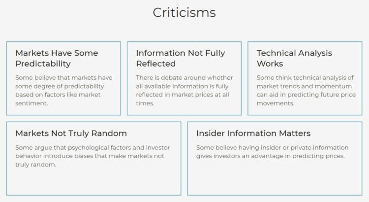 criticisms of random walk down wall street
