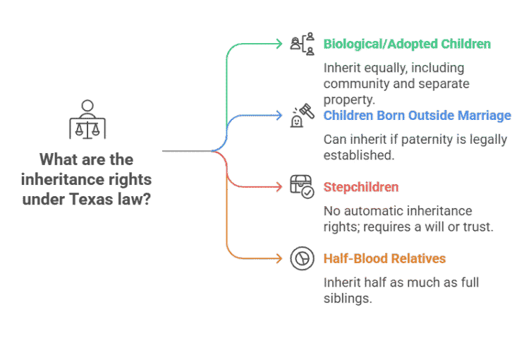 What are the inheritance rights under texas law explained for biologicla/adopted children, children born outside marriage, stepchildren and half blood relatives
