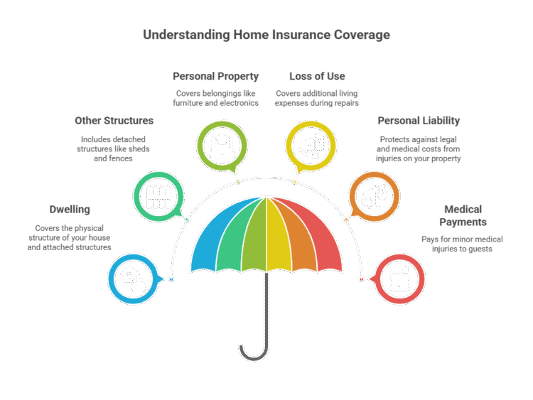 An infographic that helps you understand your homeowners insurance policy coverage
