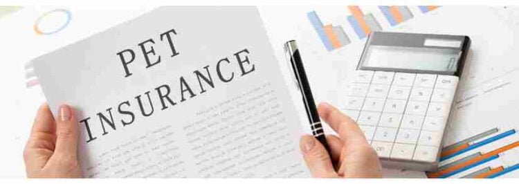 Is Pet Insurance Worth it