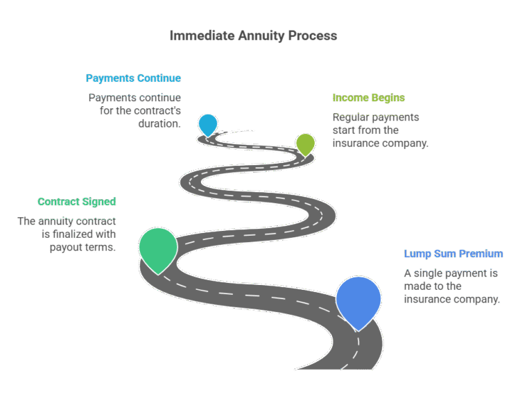 Infographic explaining the immediate annuity process